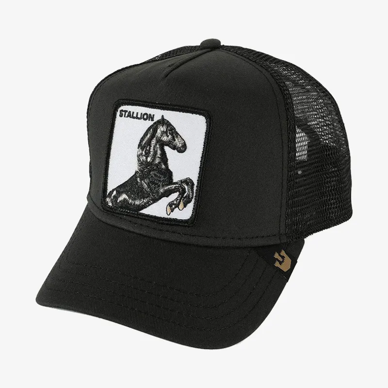 GOORIN BROS Шапка The Stallion 
