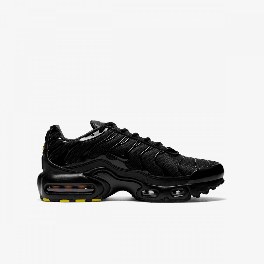 NIKE Спортни обувки NIKE AIR MAX PLUS (GS) 