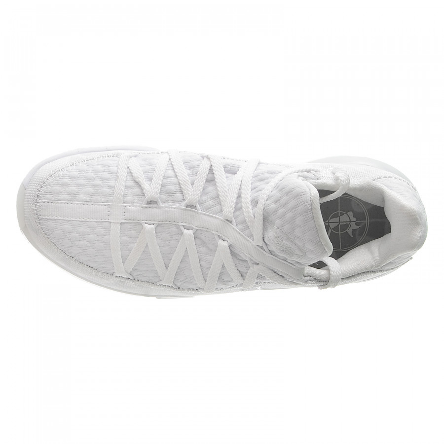 NIKE Спортни обувки LEBRON XVII LOW 