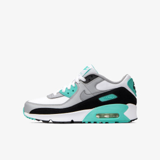 NIKE Спортни обувки NIKE AIR MAX 90 LTR GS 
