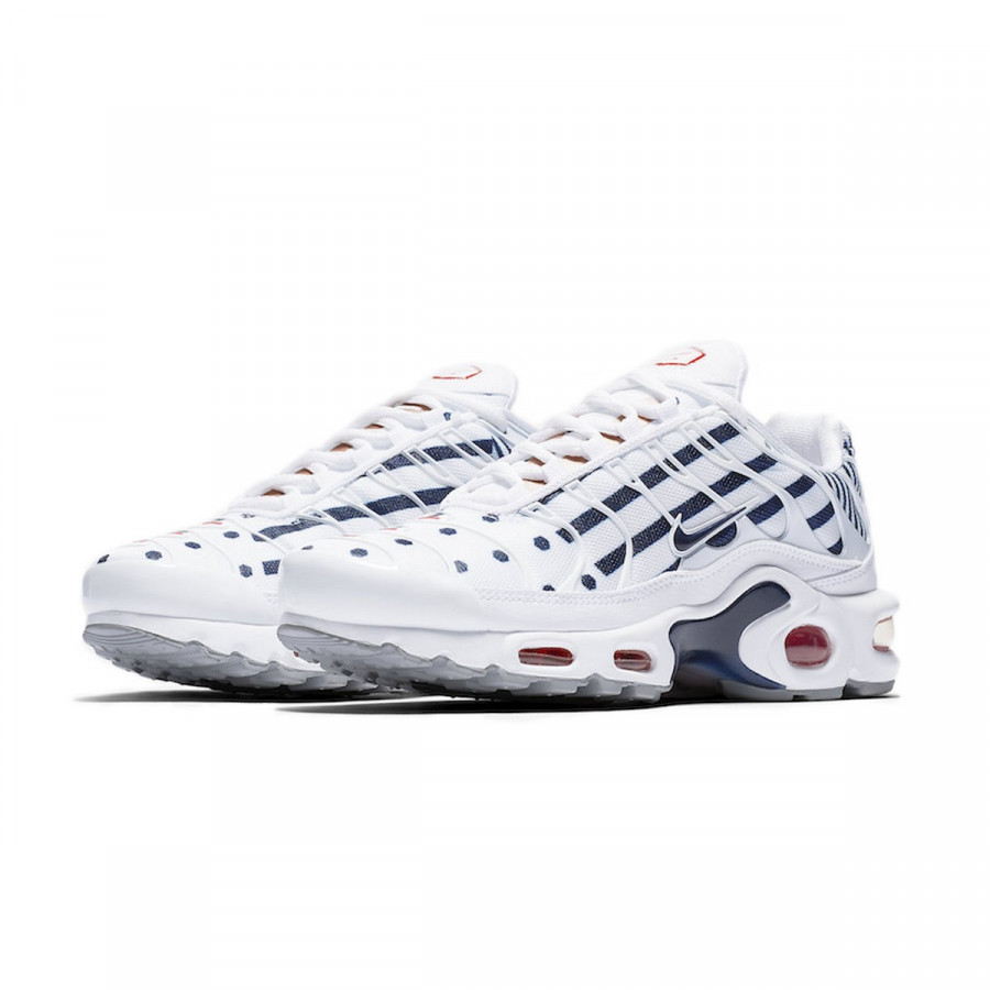 NIKE Спортни обувки WMNS AIR MAX PLUS TN 