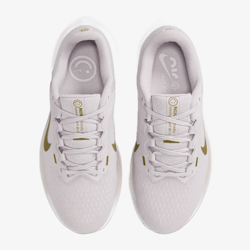 NIKE Спортни обувки Air Winflo 