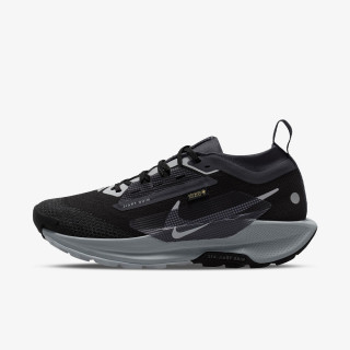 NIKE Спортни обувки Pegasus Trail 5 Gtx 