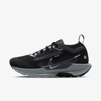 NIKE Спортни обувки Pegasus Trail 5 Gtx 