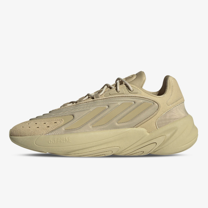 Adidas bg best sale online