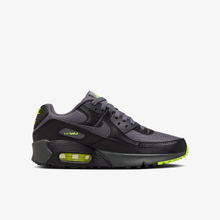 NIKE Спортни обувки Air Max 90 Next Nature 
