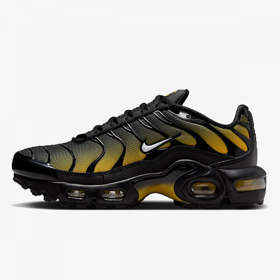 NIKE Спортни обувки NIKE AIR MAX PLUS GS GTD 
