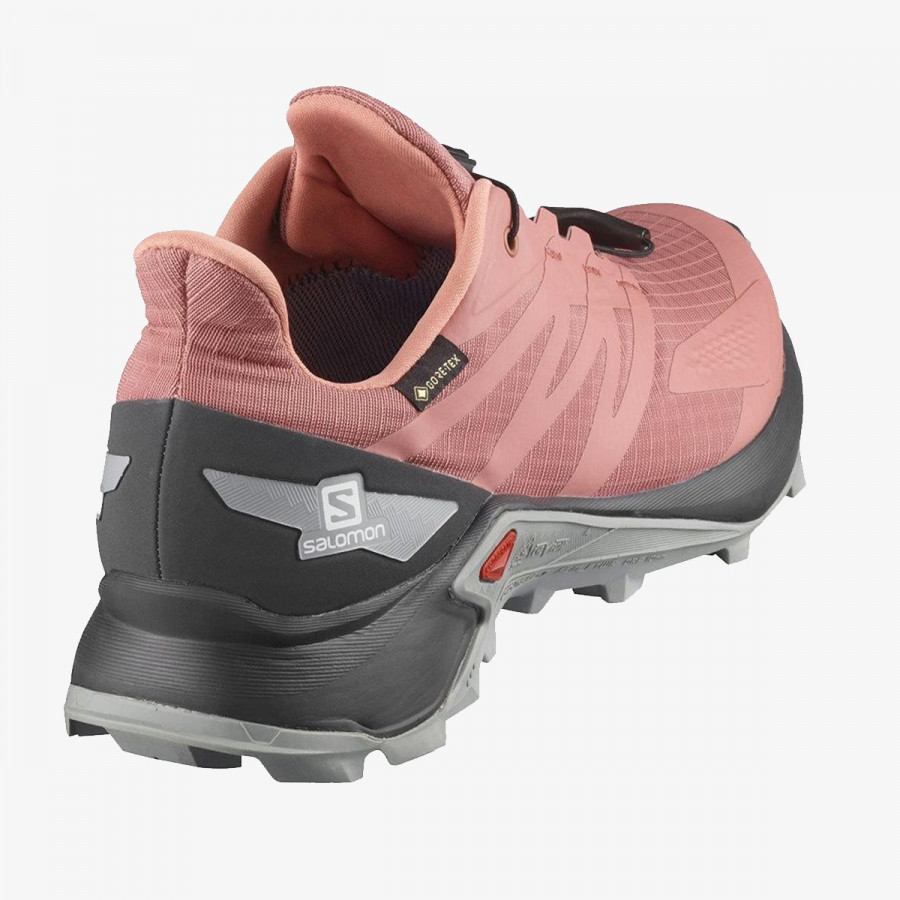 SALOMON Спортни обувки SUPERCROSS BLAST GTX W 