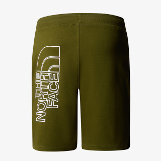 THE NORTH FACE Къси панталони Graphic 