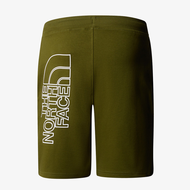 THE NORTH FACE Къси панталони Graphic 
