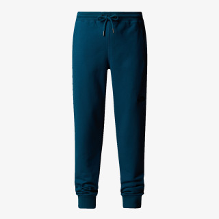 THE NORTH FACE Панталон M NSE PANT 