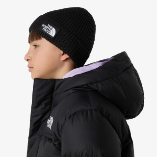 THE NORTH FACE Шапка Logo Box 