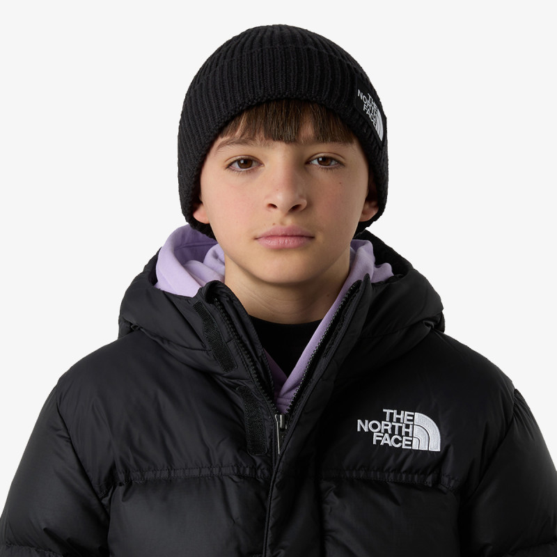 THE NORTH FACE Шапка Logo Box 