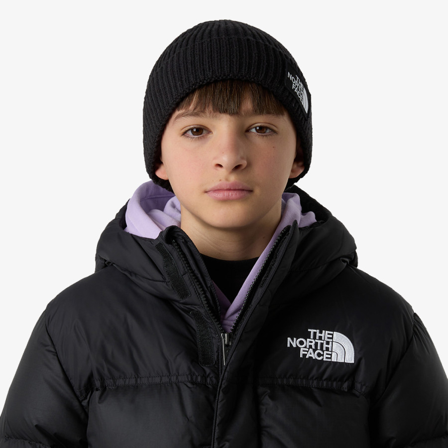 THE NORTH FACE Шапка Logo Box 
